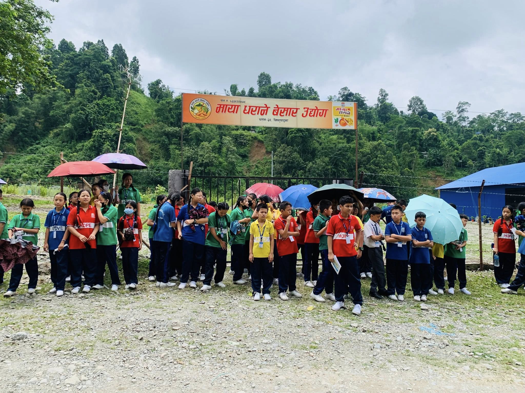 School Activity